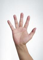 símbolo de la mano que significa cinco sobre fondo blanco