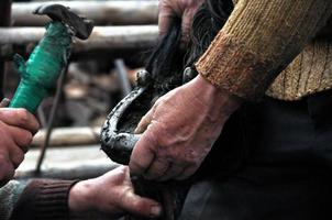 Farrier blacksmith hooves a horseshoe photo