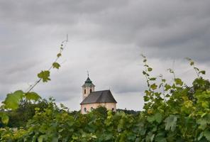 little church between vineyards photo