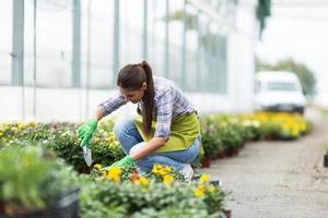 Mujer joven de jardinería en invernadero. foto