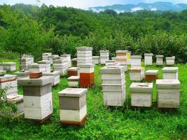 wooden hives on the picturesque glade in the mountains photo