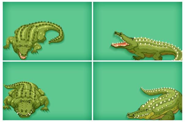 Background template design crocodiles