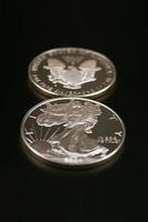 Two Silver Dollars photo