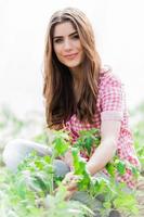 Beautiful young woman gardening photo