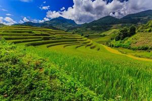 terrazas de arroz