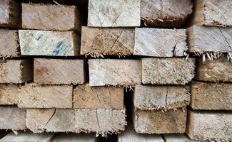 Set of Stacked wood pine timber for construction buildings photo