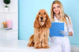 Hermosa joven veterinaria con perro en clínica foto