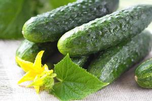 Cucumbers for your health food