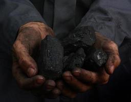 Coal in the hands photo