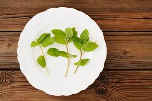 Three shoots of fresh wild mint on white plate photo