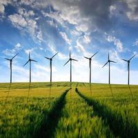 wheat fields with wind turbines photo