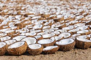 Bunch of coconut halves folded on the ground for drying photo