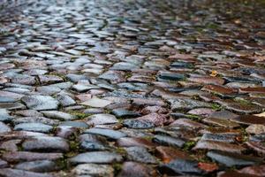 Adoquines mojados en una calle medieval, textura de fondo