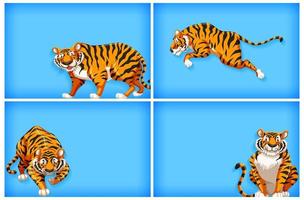 Background set with cartoon tigers on blue vector