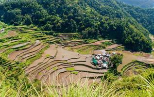 rice-terraces and village of Banga-An photo