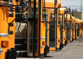 Buses Lot photo