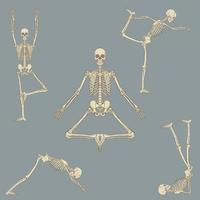 conjunto de posiciones de yoga esqueleto humano vector