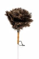 feather duster against white background