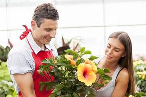 smiling salesman sells a plant to a pretty customer