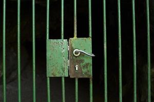 Locked cage door