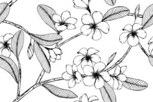 Plumeria  hand drawn botanical seamless pattern vector