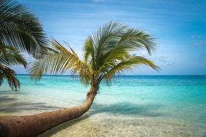 playa tropical virgen en maldivas