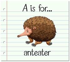 Flashcard letter A is for anteater vector