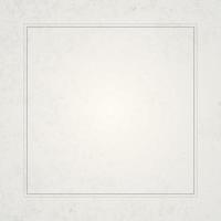 Gray double square frame and texture vector