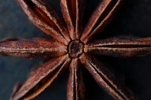 Star anise seeds on dark background. Top view