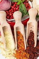 Spices and seasonings on a white background