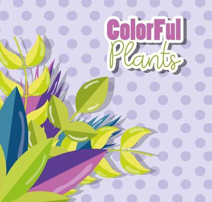 Colorful plants design on lilac background