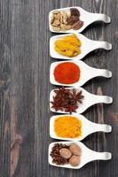 Spices in spoons photo