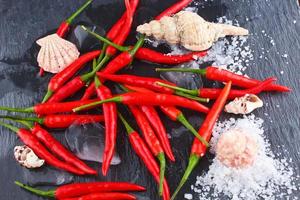 Hot Red Chili Pepper