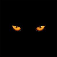 Cat eyes on black background