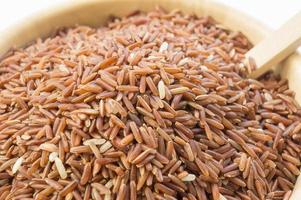 concepto de arroz jazmín de grano largo rojo tailandés foto