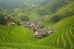 campos de arroz longji foto