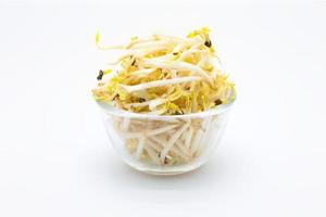 Bowl of Bean Sprouts photo