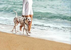 Niña con un perro caminando sobre el mar