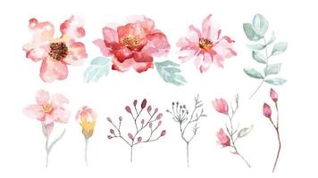 Set of watercolor flower blossoms and branches   vector