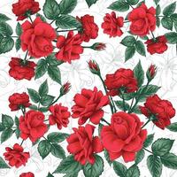 Seamless Floral pattern  vector