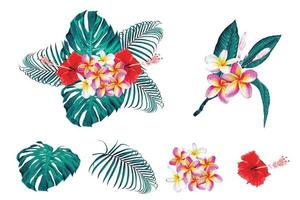conjunto de bouquet botánico tropical vector