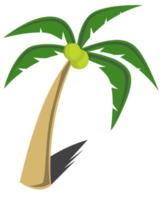 árbol de coco png