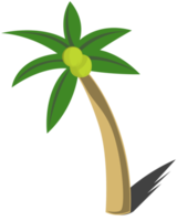 árbol de coco png