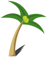 albero di cocco png