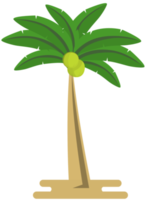 albero di cocco png