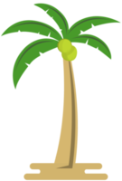 albero di cocco png