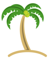 coconut tree png