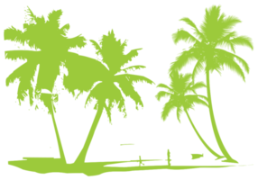 Palm Trees png