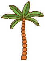 Palm Tree png