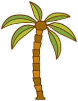 palmträd